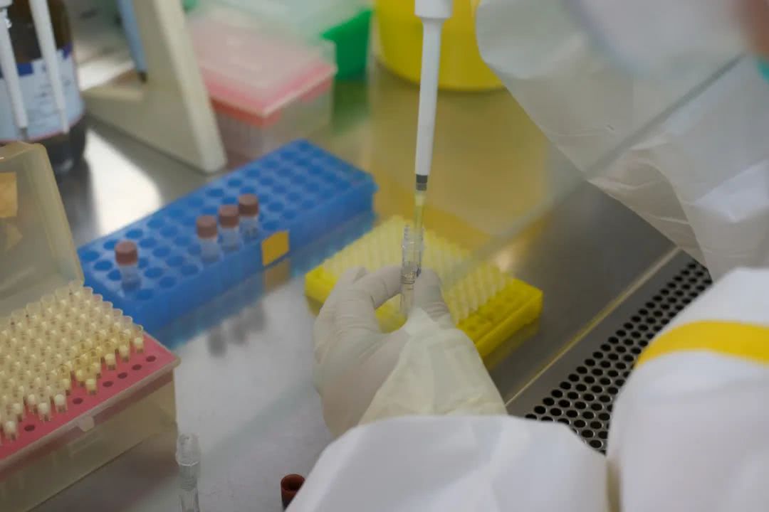 核酸檢測又降價(jià)！多地增設(shè)24小時(shí)檢測服務(wù)機(jī)構(gòu)